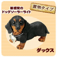 �u���w���킢����������񂪂��o�}���I �E�F���J���E�\�[���[�E���C�g �u���^�C�v �_�b�N�X�x