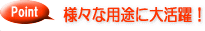 �l�X�ȗp�r�ɑ劈��!