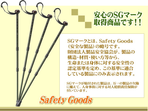 ���S��SG�}�[�N�擾���i�ł��I