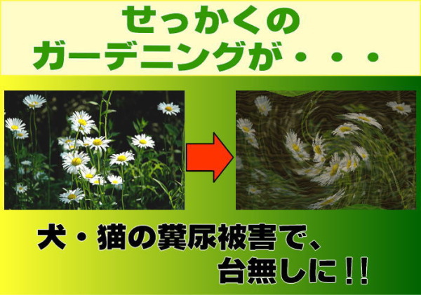 ���������̃K�[�f�j���O�����L�̕��A��Q�ő䖳���ɁI