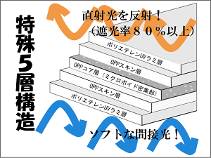 ����5�w�\��