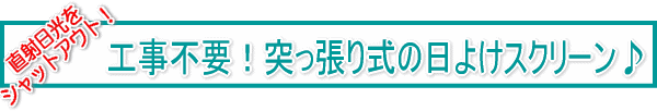 �H���s�v�I�˂����莮�̓��悯�X�N���[����
