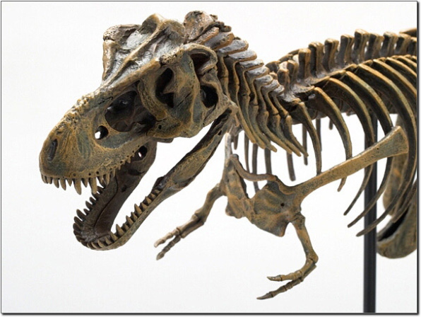 �����g��