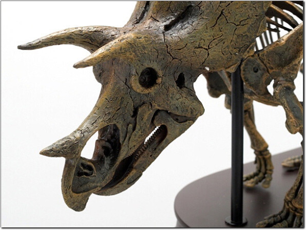 �����g��