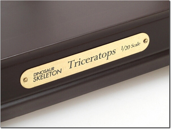 �G���u����