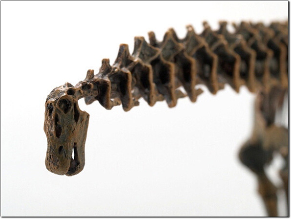 �����g��