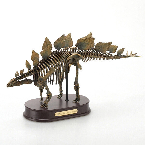 �X�P���g�����f�� �w���� �X�e�S�T�E���X�x