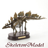 �����͌^�w�����̍��i�����A���ɍČ��I �X�e�S�T�E���X �X�P���g�����f���x