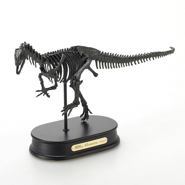 桜 印 アロサウルス スケルトンモデル | www.tegdarco.com