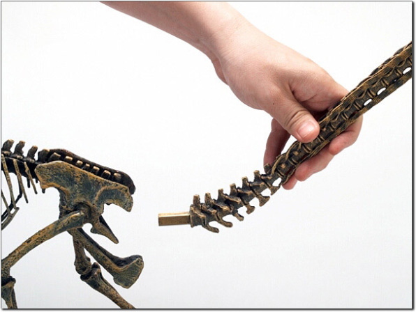 �E�����̔�