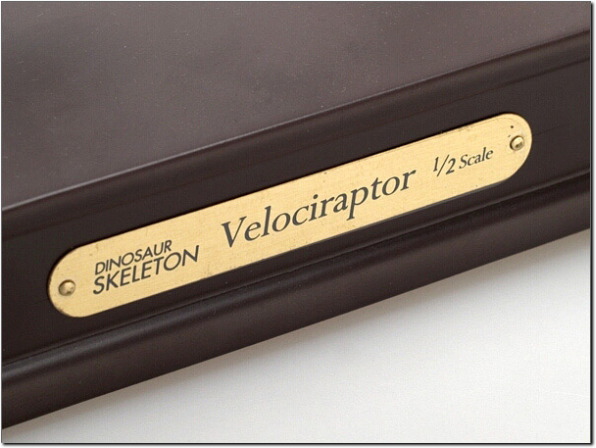 �G���u����