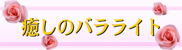 �����̃o�����C�g