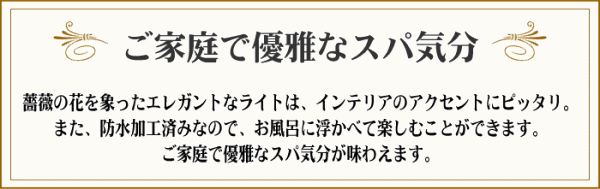 ���ƒ�ŗD��ȃX�p�C���I