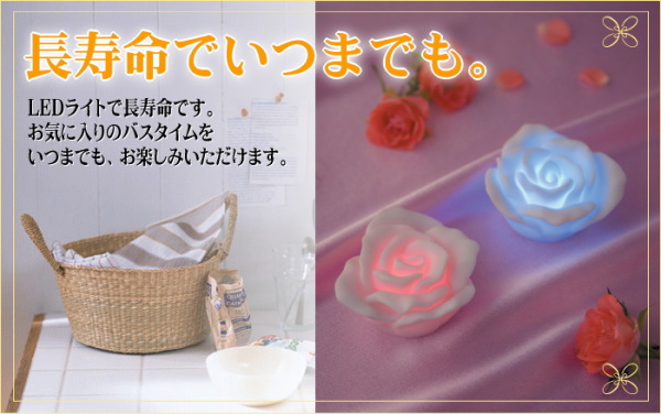 �������ł��܂ł��I