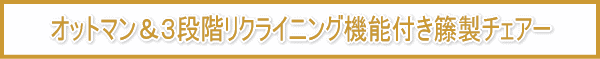 �I�b�g�}����3�i�K���N���C�j���O�@�\�t���ِ��`�F�A�[