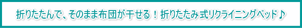 �܂肽����ŁA���̂܂ܕz�c��������I�܂肽���ݎ����N���C�j���O�x�b�h��