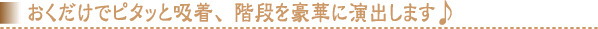 ���������Ńs�^�b�Ƌz���A�K�i�����؂ɉ��o���܂���
