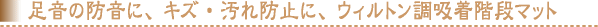 �����̖h���ɁA�L�Y�E����h�~�ɁA�E�B���g�����z���K�i�}�b�g