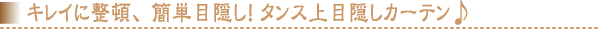 �L���C�ɐ��ځA�ȒP�ډB���I �^���X��ډB���J�[�e����