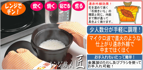 �d�q�����W���p�r������w�����W�̐E�l ���x