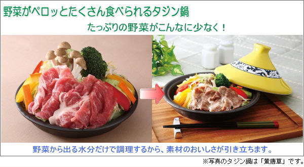 �L�c�Ă��w���V�[�E�^�W����i�Q���j