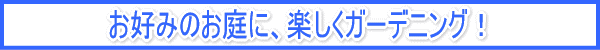 ���D�݂̂���ɁA�y�����K�[�f�j���O�I
