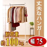 �n���K�[���b�N�w�ω׏d��100kg�̏�v�ȃp�C�v�n���K�[���b�N�I ��v�ȃn���K�[��75�^�C�v�i�L���X�^�[�t���j�x