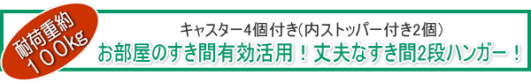 �������̂����ԗL�����p�I��v�Ȃ�����2�i�n���K�[�I