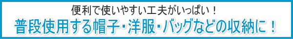���i�g�p����X�q�E�m���E�o�b�O�Ȃǂ̎��[�ɁI