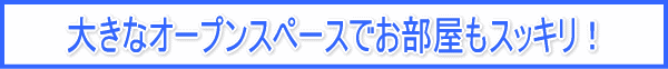 �傫�ȃI�[�v���X�y�[�X�ł��������X�b�L���I