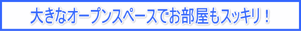 �傫�ȃI�[�v���X�y�[�X�ł��������X�b�L���I