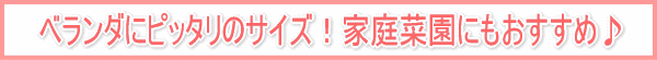 �x�����_�Ƀs�b�^���̃T�C�Y�I�ƒ�؉��ɂ��������߁�