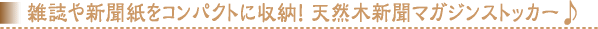 �G����V�������R���p�N�g�Ɏ��[�I �V�R�ؐV���}�K�W���X�g�b�J�[��