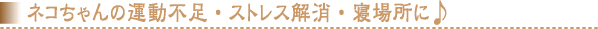 �l�R�����̉^���s���E�X�g���X�����E�Q�ꏊ�Ɂ�