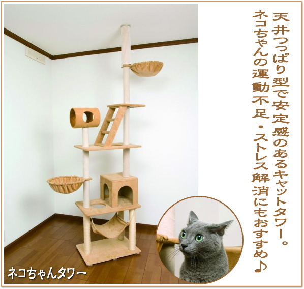 �l�R�����^���[�i���ς莮�j