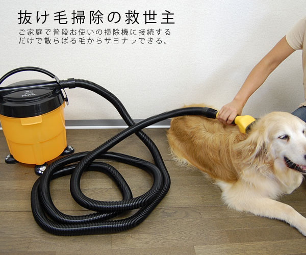 �y�b�g�o�L���[��