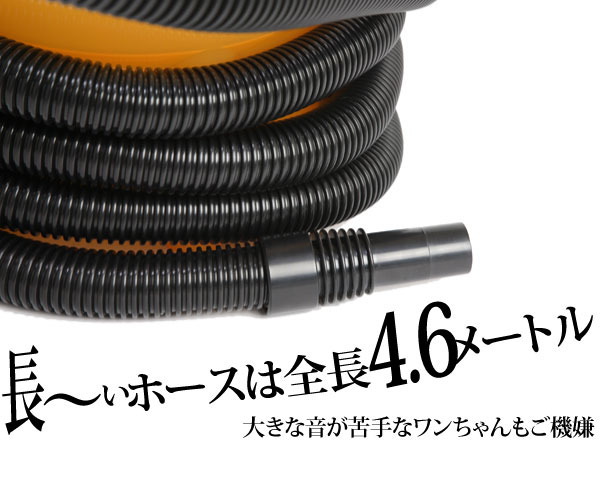 ���`���z�[�X�́A�S��4.6m�I