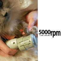 �܂Ƃ��w���E�L�̒܂���ɓd�����܂Ƃ��@�I �y�e�B�L���A�[�x
