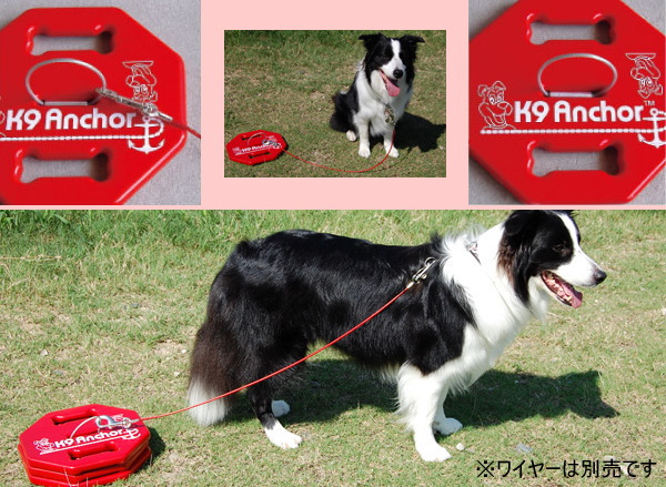 �u�������̊ȒP�ݒu�A�ǂ��ł��W���uK9�A���J�[�v�I