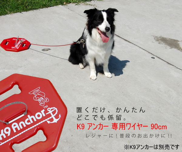 K9�A���J�[�i��p���C���[90cm�j