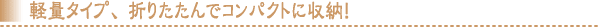 �y�ʃ^�C�v�A�܂肽����ŃR���p�N�g�Ɏ��[�I